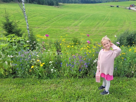 Stina Nyström